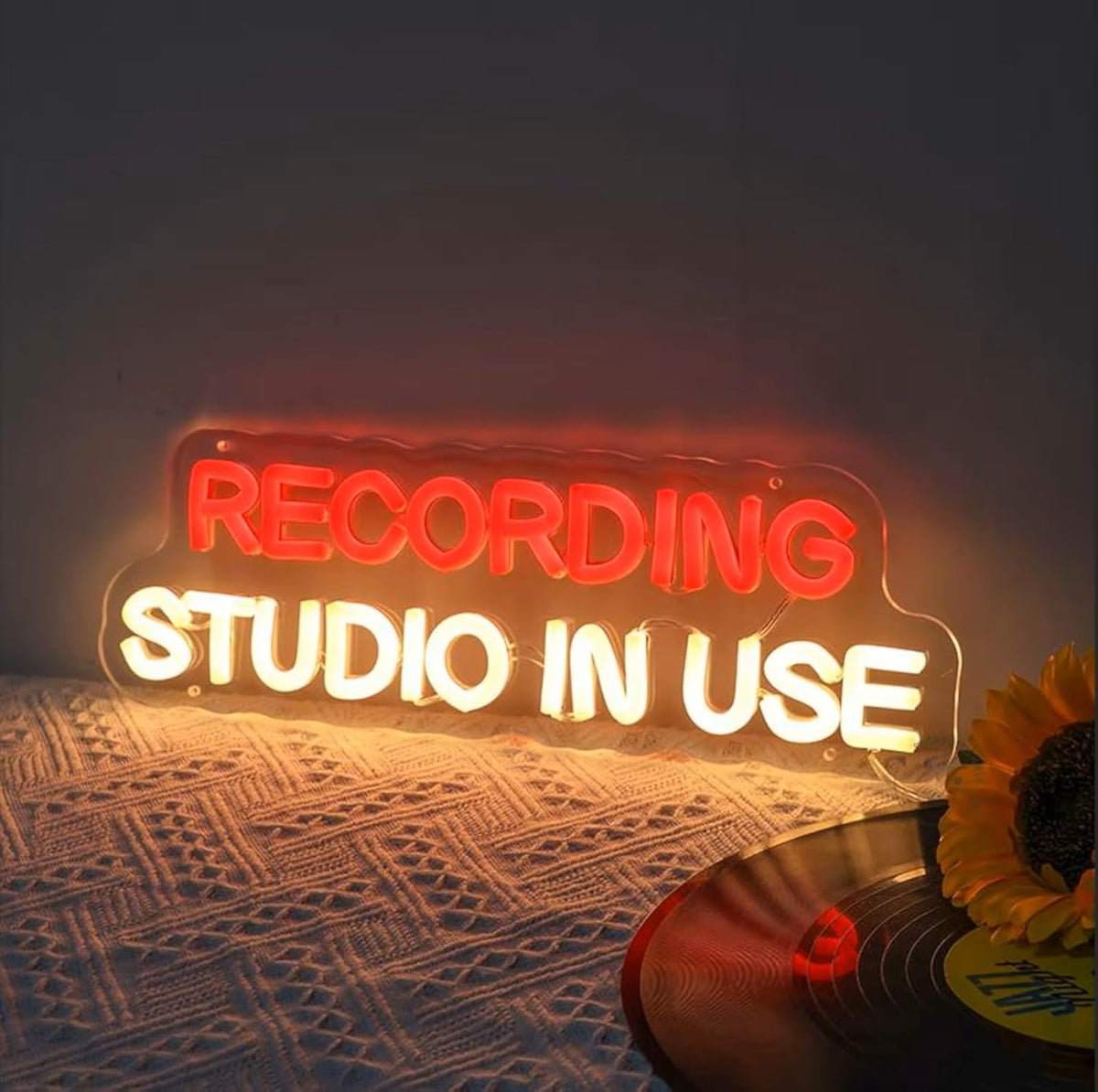 Recording Studio in Use Neon Sign Dimmable Live Music LED Neon Sign USB Powered Wall Hanging Light for Recording Room Music Studio Bedroom Game Room Décor