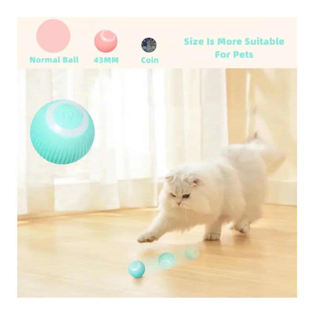 Electric Dog Cat Ball Toy,Indoor Large and Small Cat Dog Interactive Intelligent Rolling Pet Ball