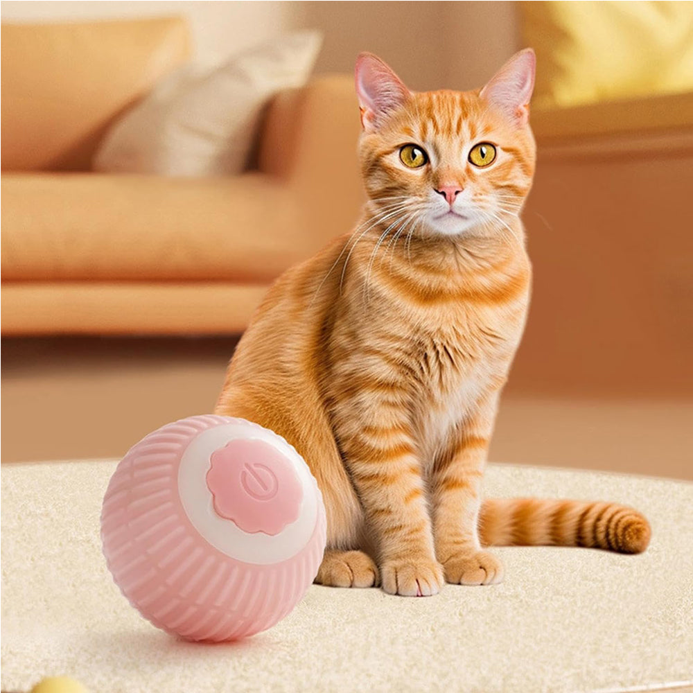Electric Dog Cat Ball Toy,Indoor Large and Small Cat Dog Interactive Intelligent Rolling Pet Ball