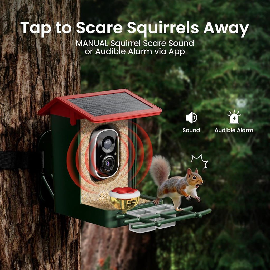 Bird Feeder with Camera Solar Powered, 2K HD Video, AI Bird ID