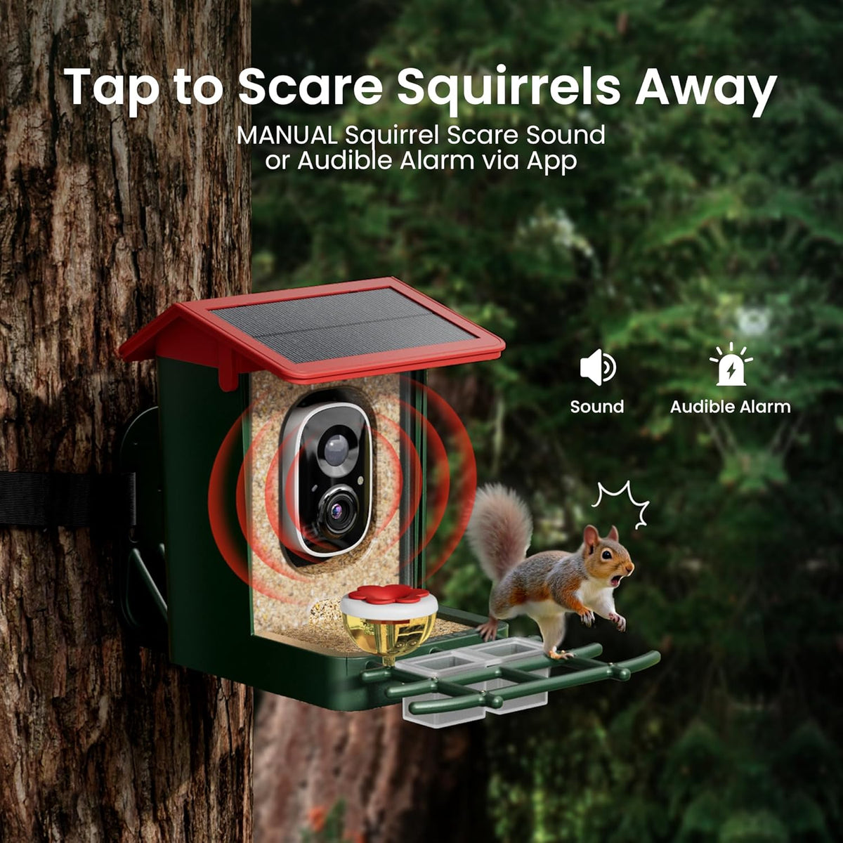 Bird Feeder with Camera Solar Powered, 2K HD Video, AI Bird ID