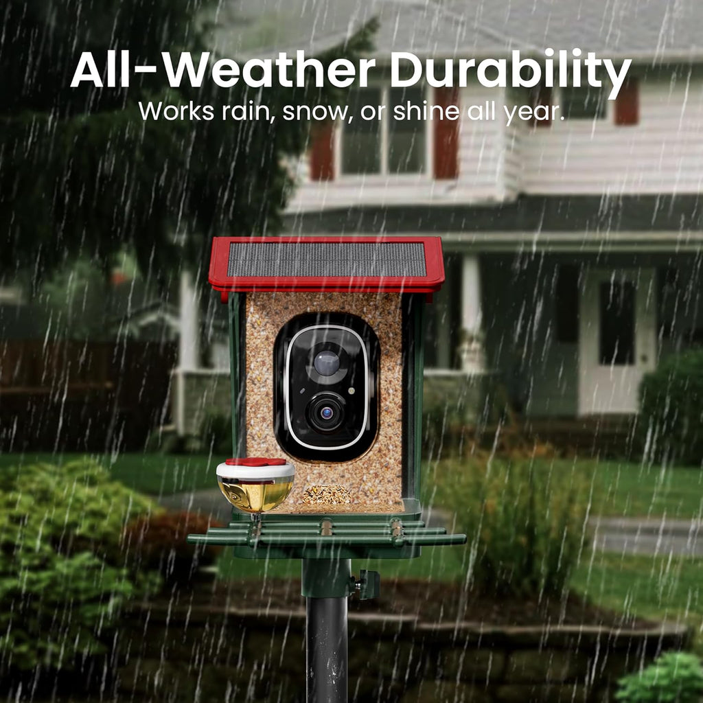 Bird Feeder with Camera Solar Powered, 2K HD Video, AI Bird ID