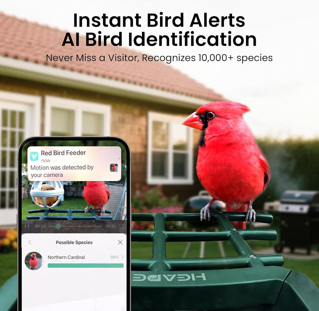 Bird Feeder with Camera Solar Powered, 2K HD Video, AI Bird ID