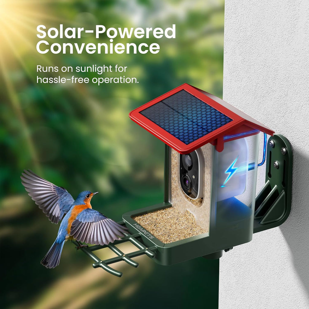 Bird Feeder with Camera Solar Powered, 2K HD Video, AI Bird ID