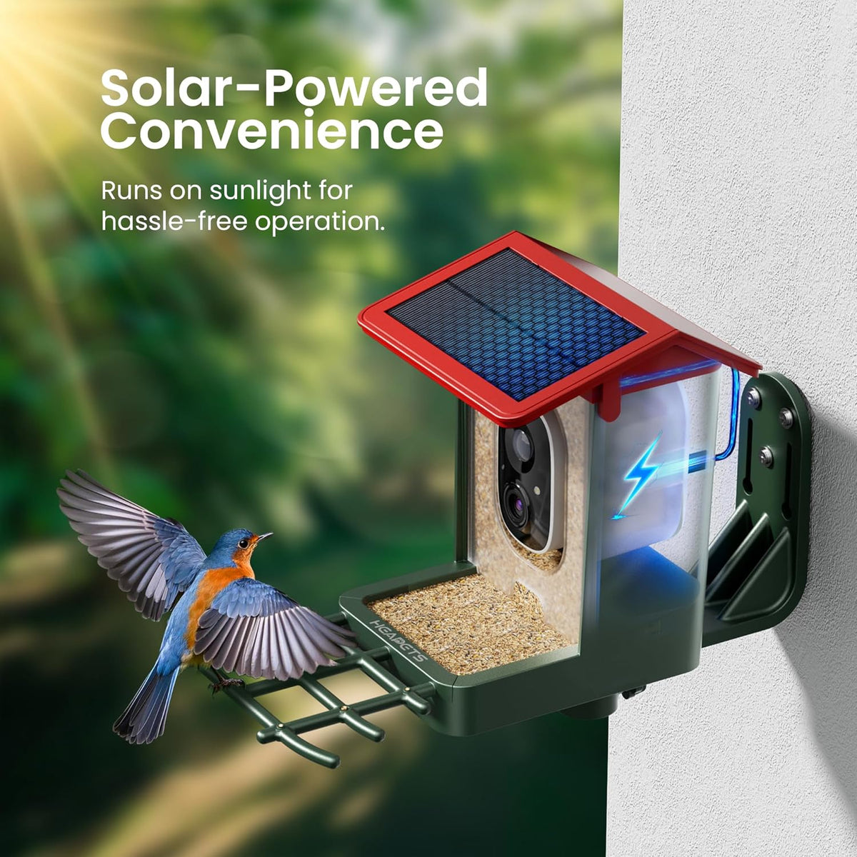 Bird Feeder with Camera Solar Powered, 2K HD Video, AI Bird ID