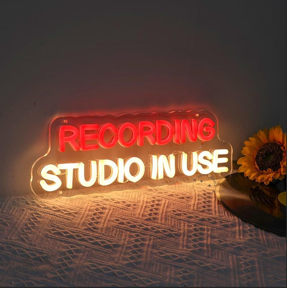 Recording Studio in Use Neon Sign Dimmable Live Music LED Neon Sign USB Powered Wall Hanging Light for Recording Room Music Studio Bedroom Game Room Décor