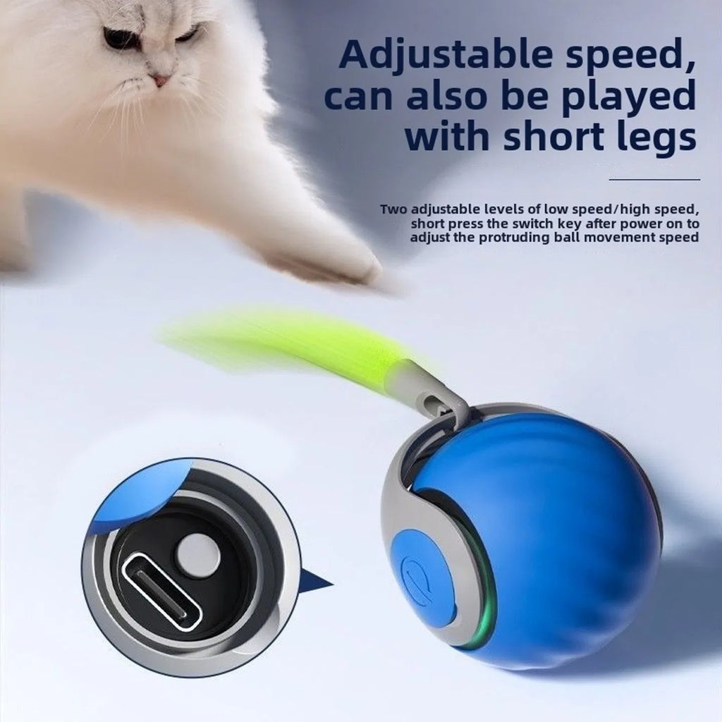 Cat Toy,Interactive Cat Ball,Cattoys for Indoor Cats, Adjustable Sports Rolling Toy,Electric Rolling Ball