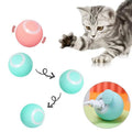 Electric Dog Cat Ball Toy,Indoor Large and Small Cat Dog Interactive Intelligent Rolling Pet Ball
